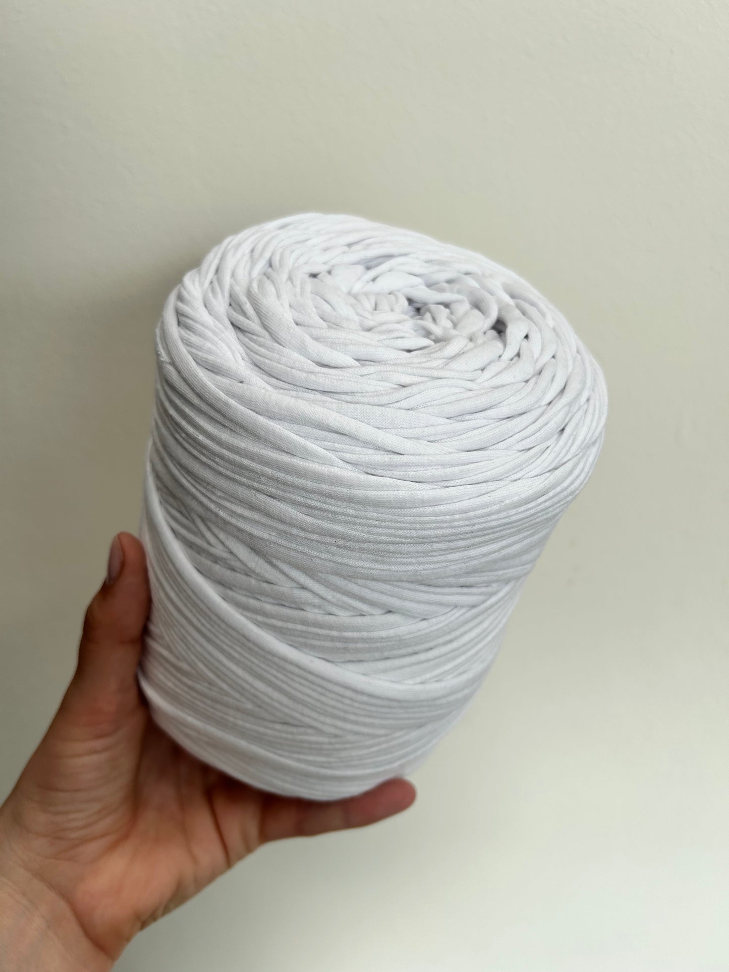 FETTUCCIA COTONE