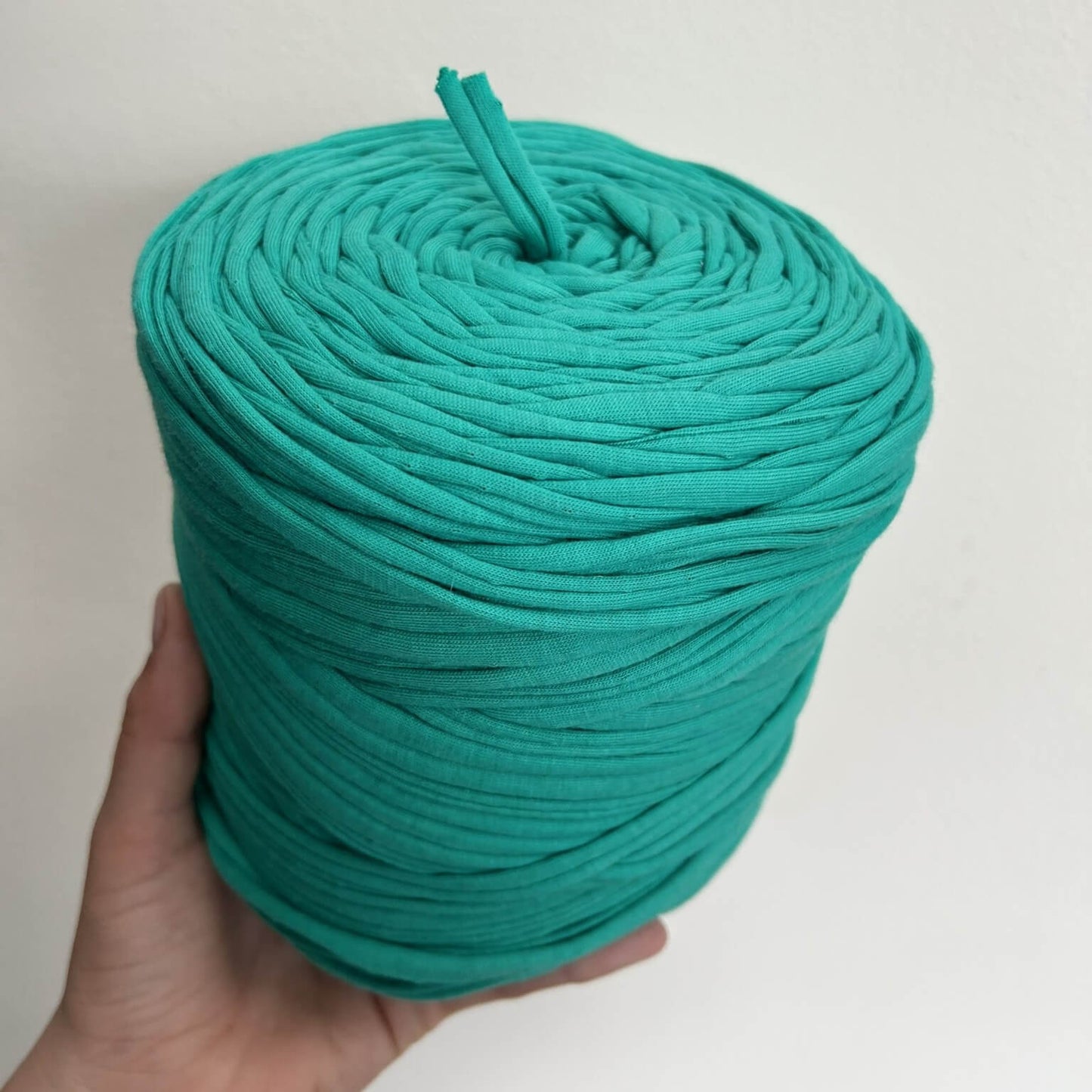 FETTUCCIA COTONE