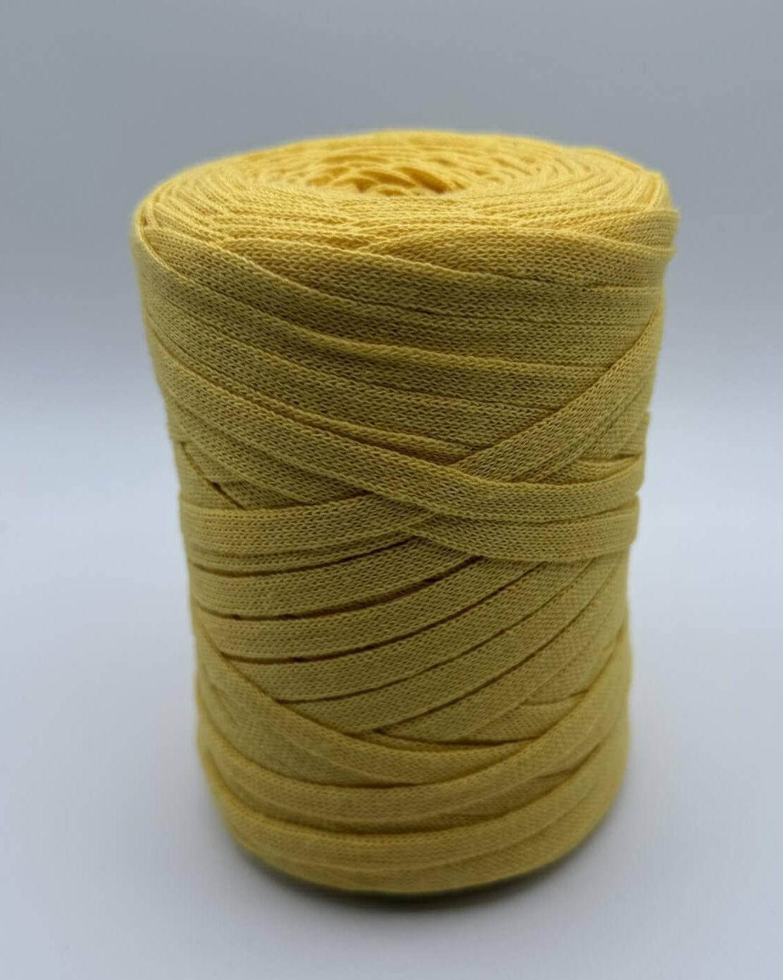 Fettuccina 250g verde per borse all'uncinetto – filato piatto leggero primavera estate