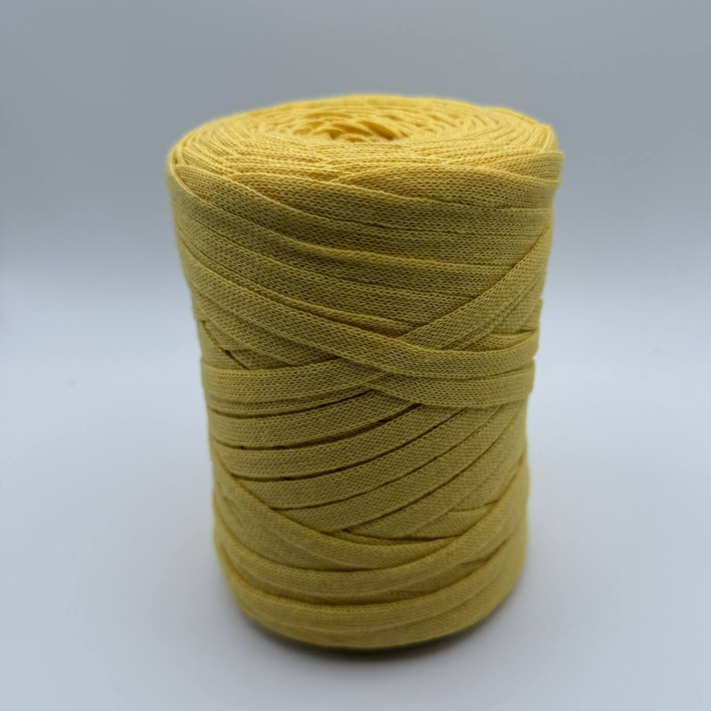Fettuccina 250g verde per borse all'uncinetto – filato piatto leggero primavera estate